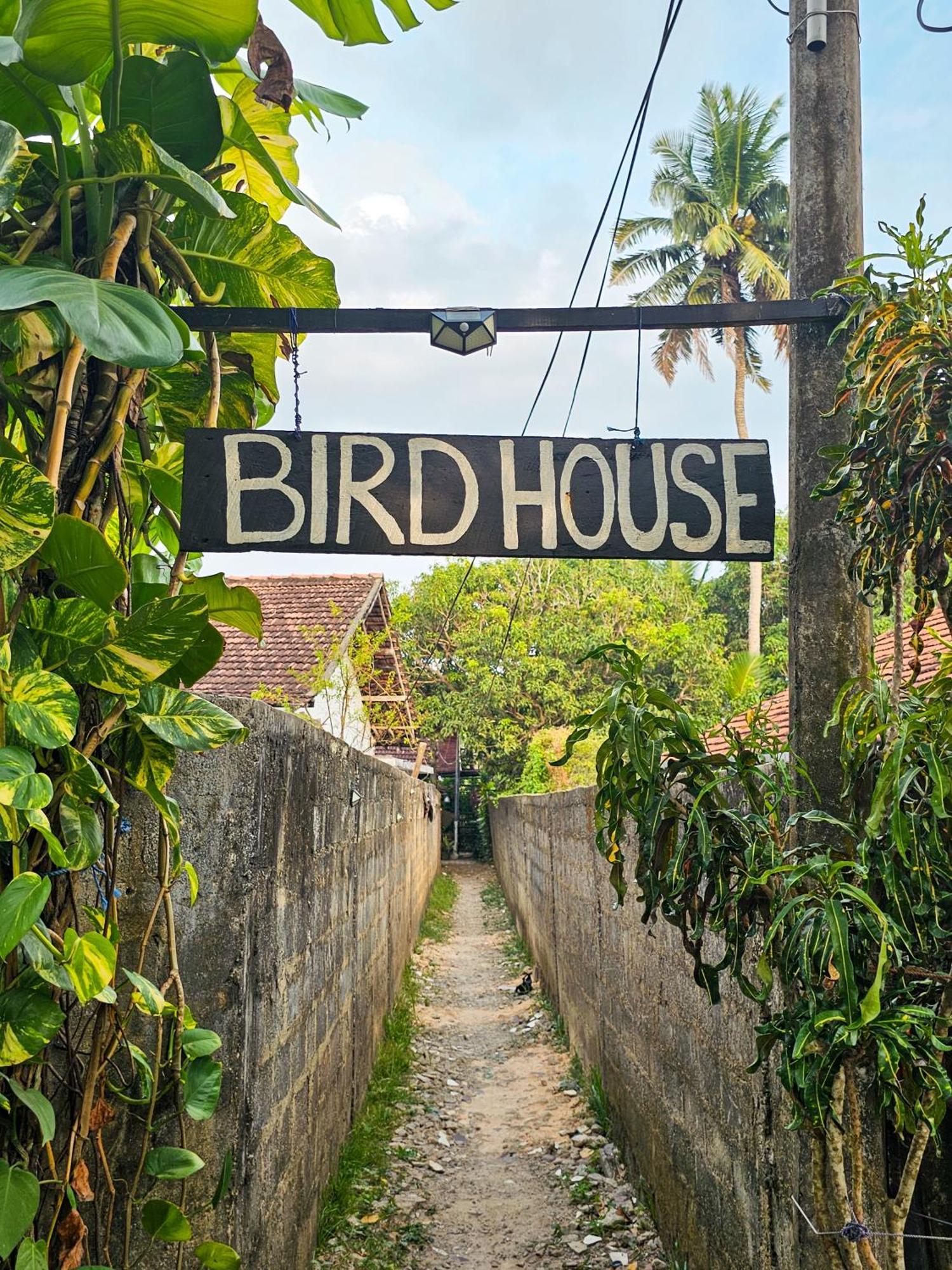 Hotel Bird House Mirissa Exteriér fotografie
